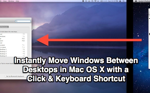 Move mac files to pc